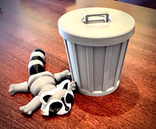 Raccoon and his garbage can