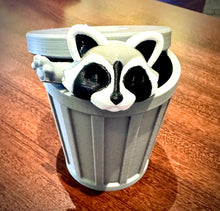 Raccoon and his garbage can