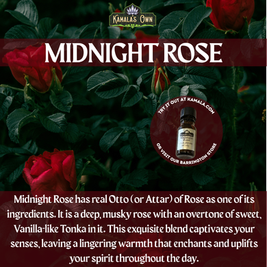 Midnight Rose